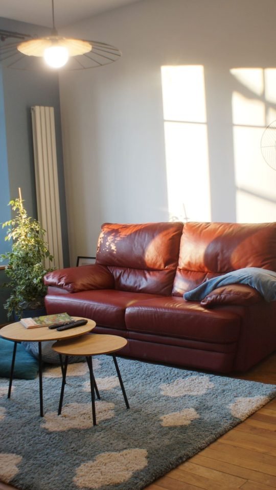 Reine Claude (19) salon