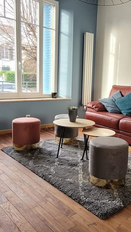 Reine Claude SALON AVEC CANAPE FAUTEIL ET TELEVISION