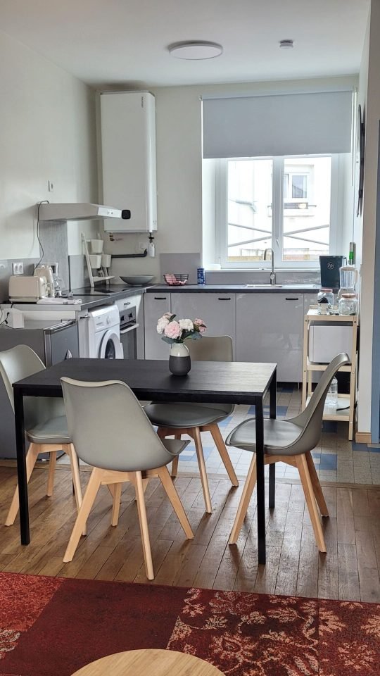 VUE DEPUIS LE SALON DE LA CUISINE ET DE LA SALLE DE BAIN LOGEMENT REINE CLAUDE