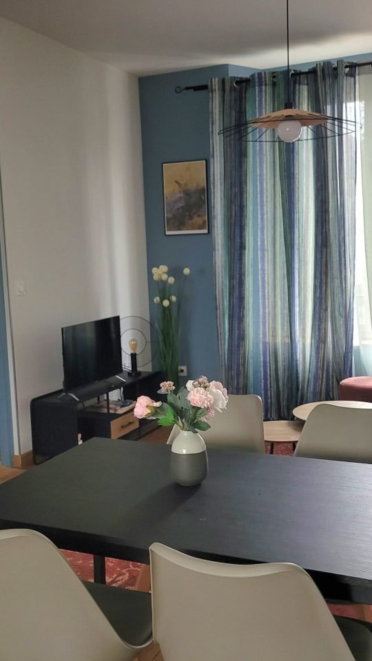 photo du salon et de la salle à manger logement reine claude