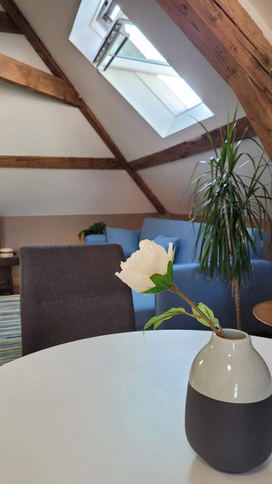 VUE DU SALON AVEC TABLE À MANGER ET PLANTE D ORNEMENT