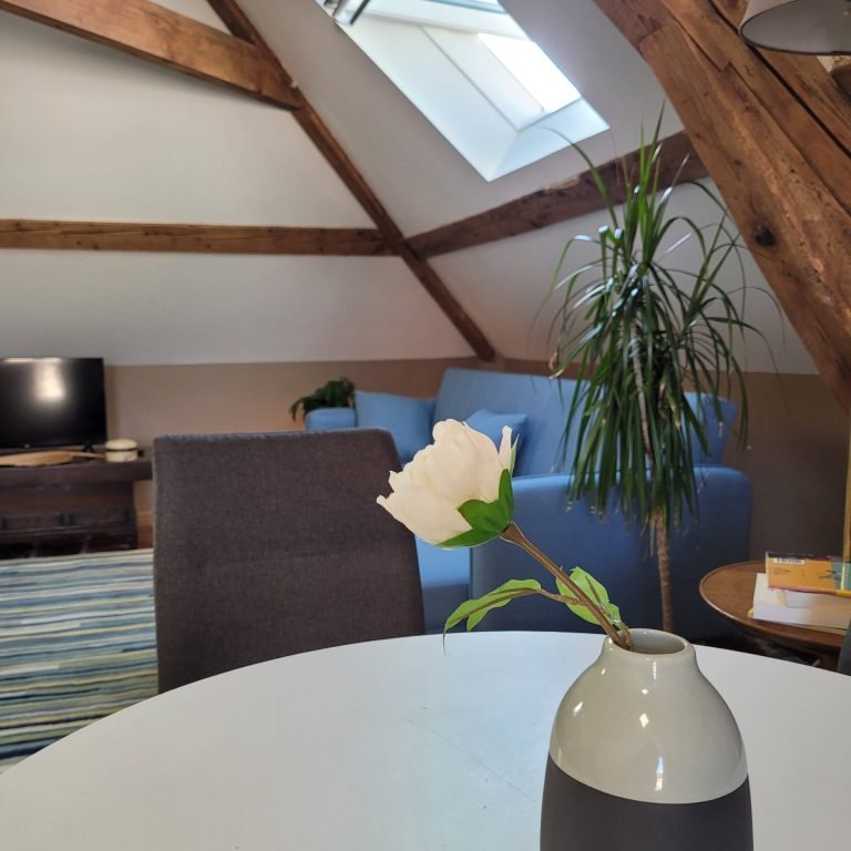 VUE DU SALON AVEC TABLE À MANGER ET PLANTE D ORNEMENT