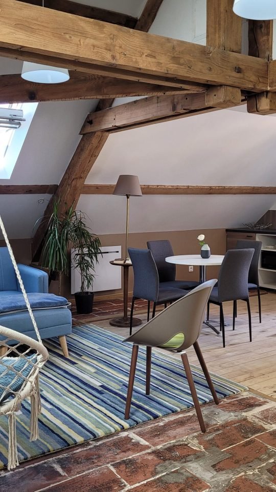 VUE DU SALON ET DE LA CUISINE DEPUIS LA PARTIE CHAMBRE DU STUDIO CANOPEE