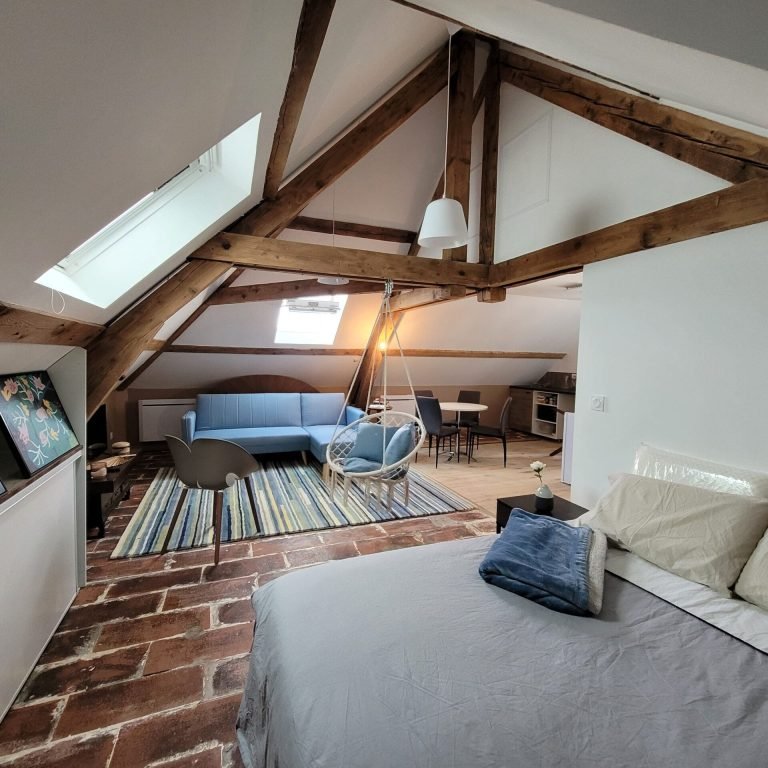 vue du salon depuis le lit canopée hebergement joigny