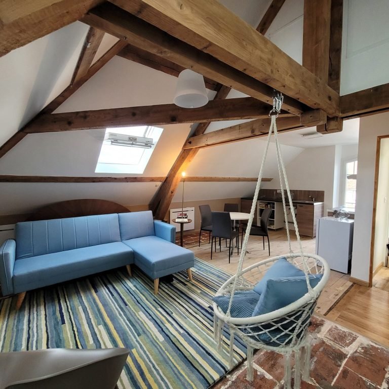 vue grand angle salon canopée hebergement joigny